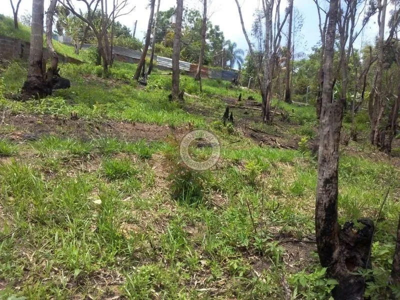 Terreno para Venda em São Roque, Centro (Mailasqui)