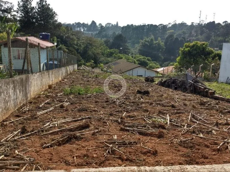 Terreno para Venda em São Roque, Alto Da Serra (Mailasqui)