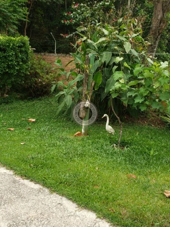 Chácara para Venda em São Roque, Centro (Canguera), 4 dormitórios, 3 banheiros