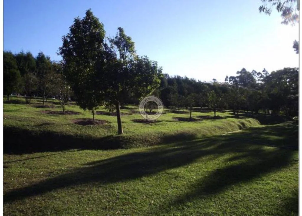 Terreno para Venda em São Roque, Vila Darcy Penteado (Mailasqui)