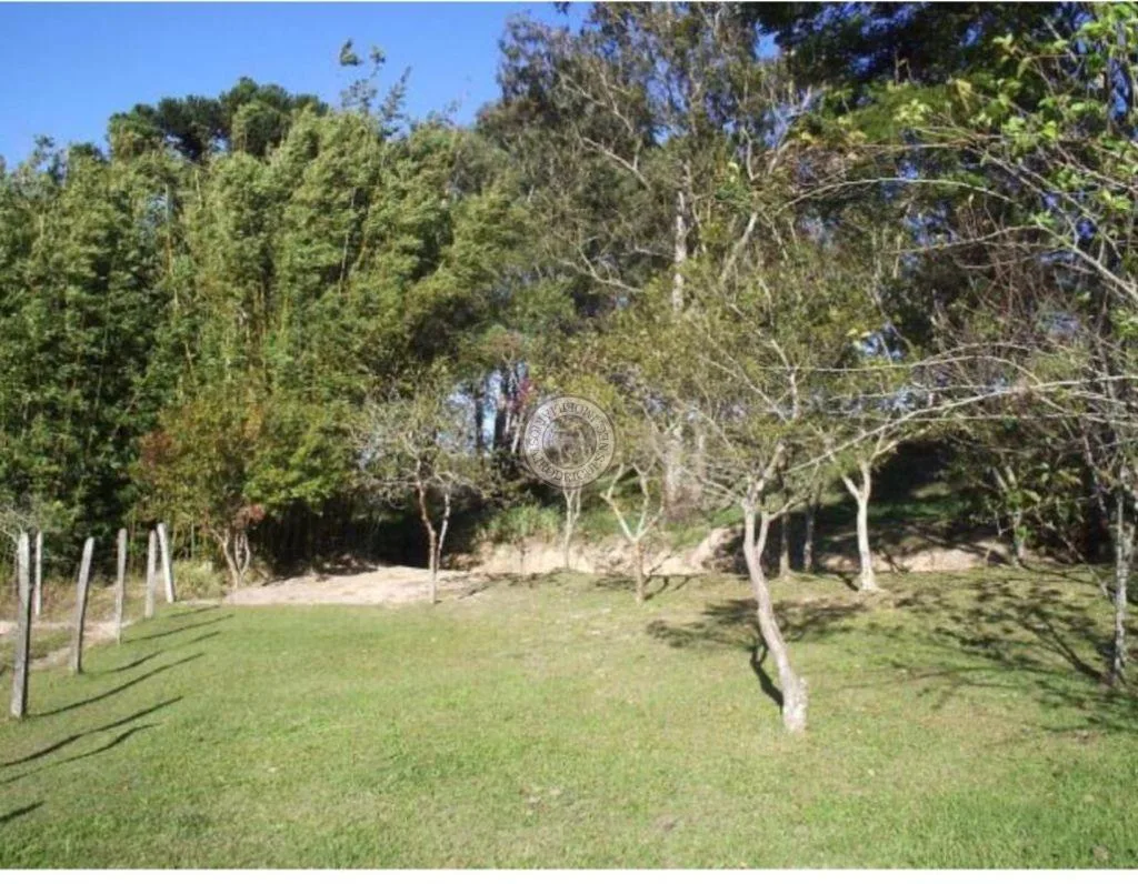 Terreno para Venda em São Roque, Vila Darcy Penteado (Mailasqui)