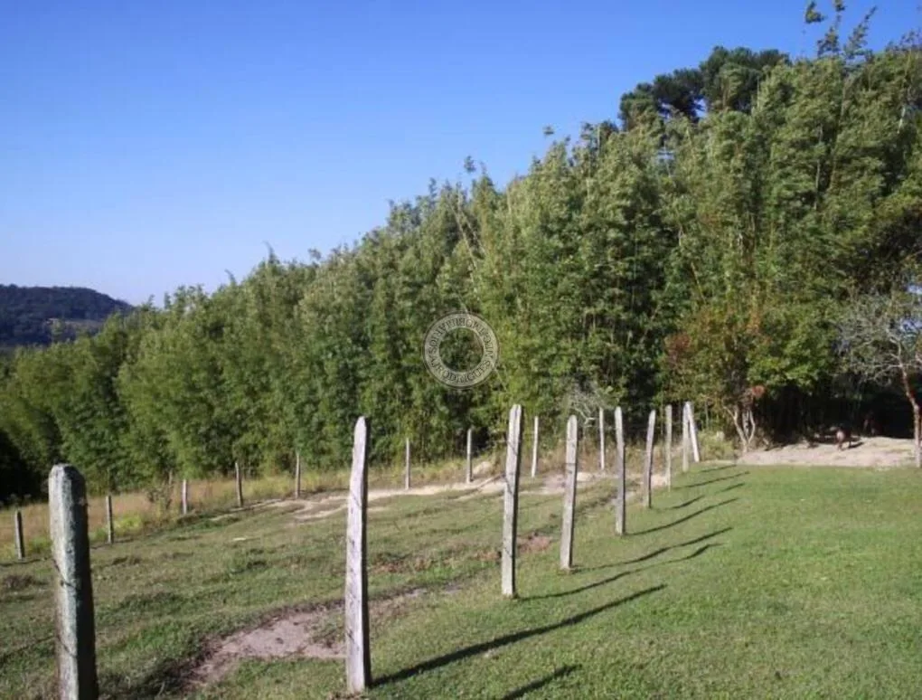 Terreno para Venda em São Roque, Vila Darcy Penteado (Mailasqui)