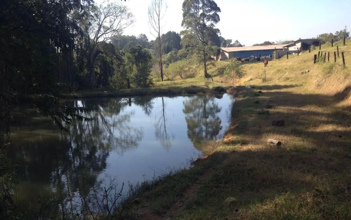 Sítio para Venda em São Roque, Vila Darcy Penteado (Mailasqui), 4 dormitórios, 1 suíte, 3 banheiros, 6 vagas