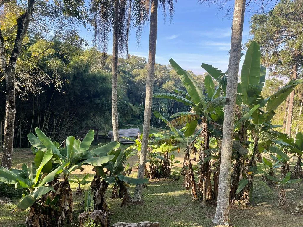 Sítio para Venda em São Roque, Caete (Mailasqui), 3 dormitórios, 2 banheiros, 10 vagas