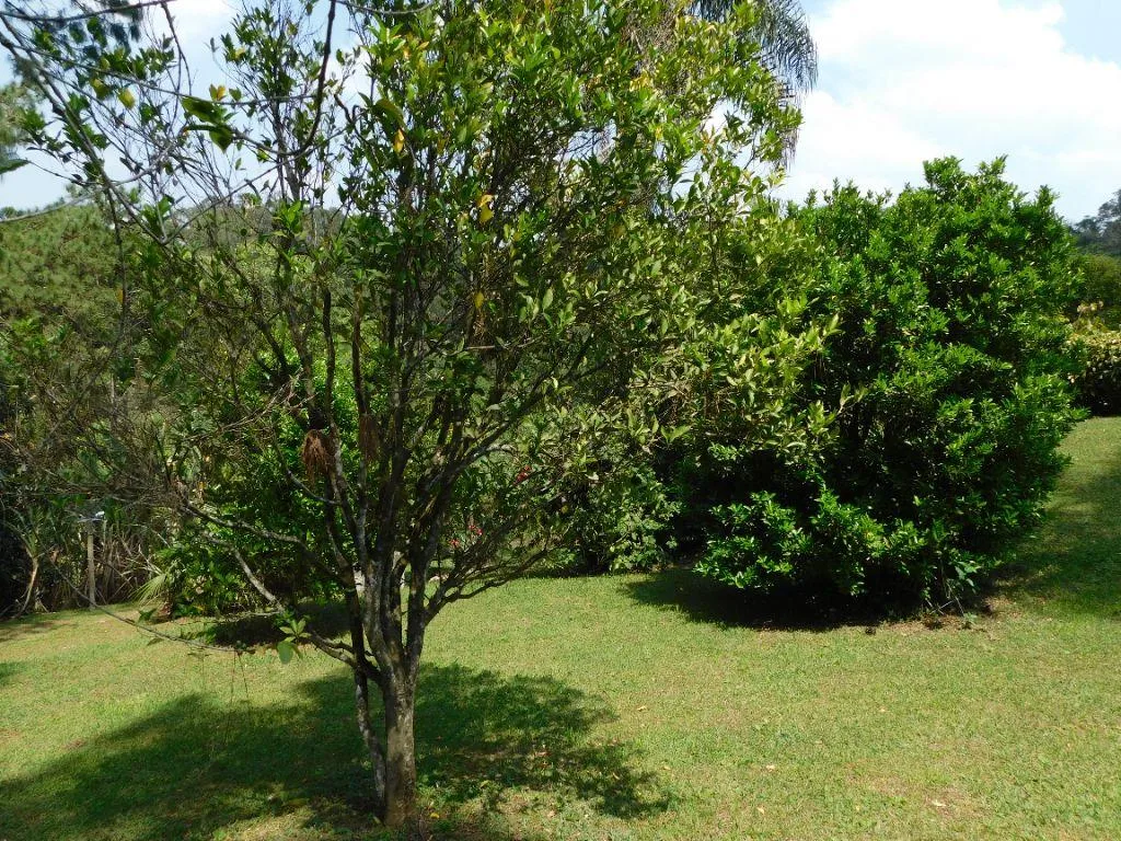 Sítio para Venda em São Roque, Loteamento Recanto da Paz, 2 dormitórios, 2 suítes, 3 banheiros, 2 vagas