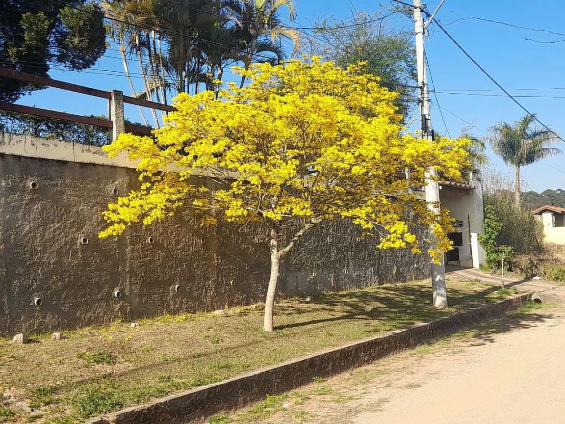 Chácara para Venda em São Roque, Pavão (Canguera), 3 dormitórios, 3 suítes, 1 banheiro, 5 vagas